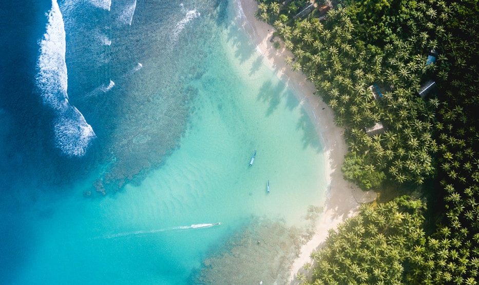 The Rock Restaurant - Lieu emblématique