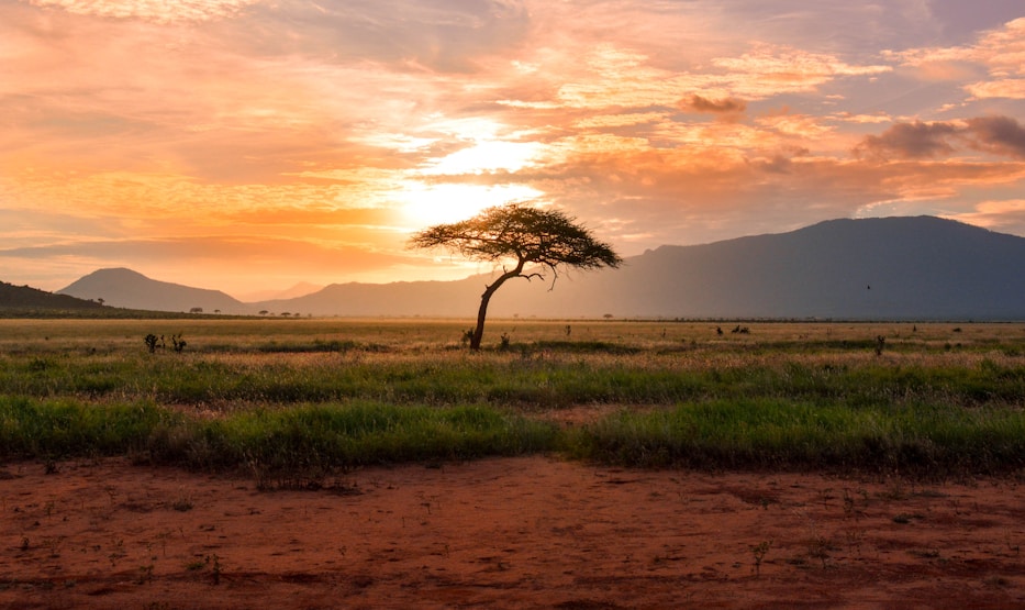 Vue aérienne côte de Zanzibar