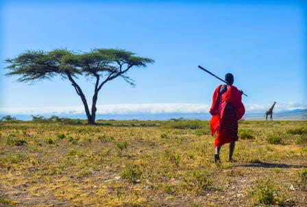 Masai marchant dans les plaines