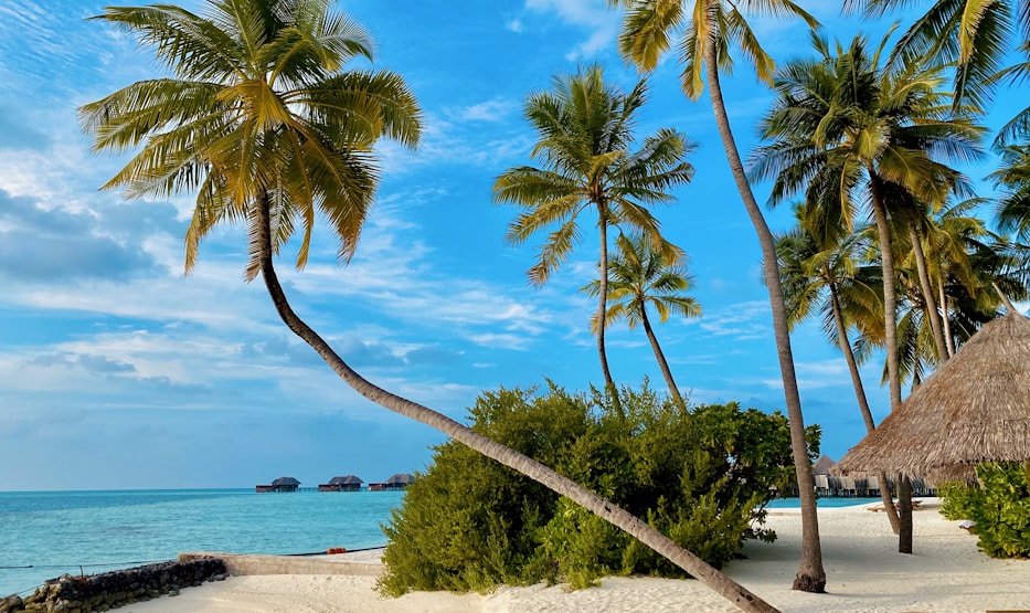 Stone Town - Ruelles et portes sculptées